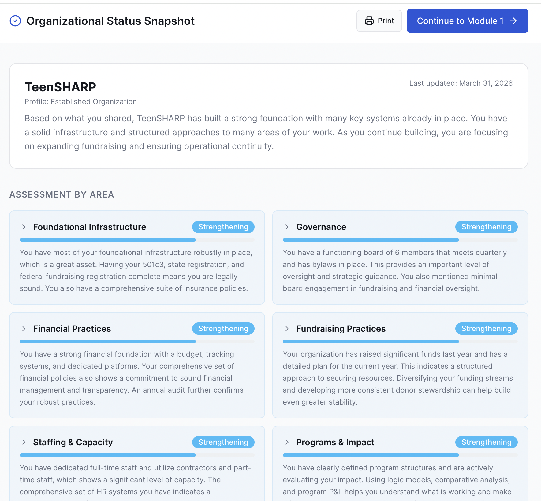 Rustin Organizational Status Snapshot showing assessment cards by area